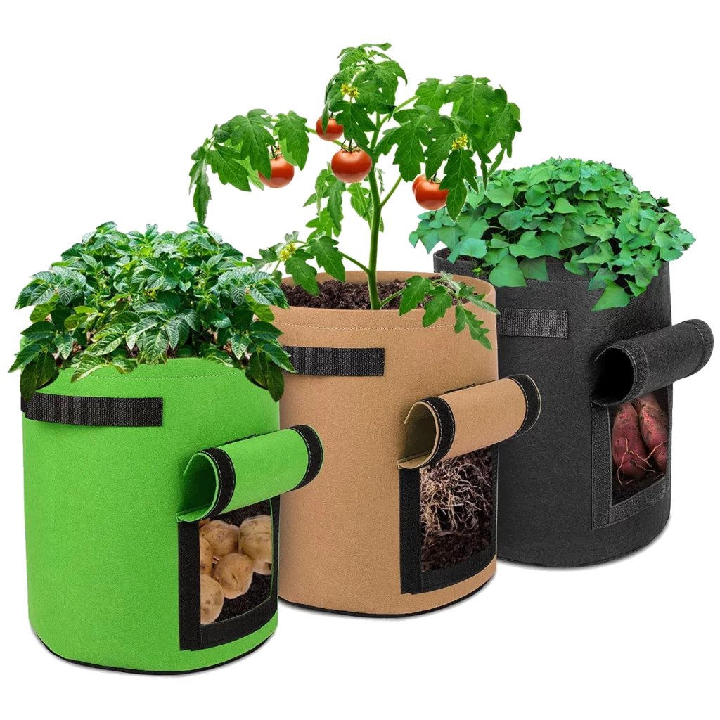 idées de cadeaux pour un collègue de travail
Plantes